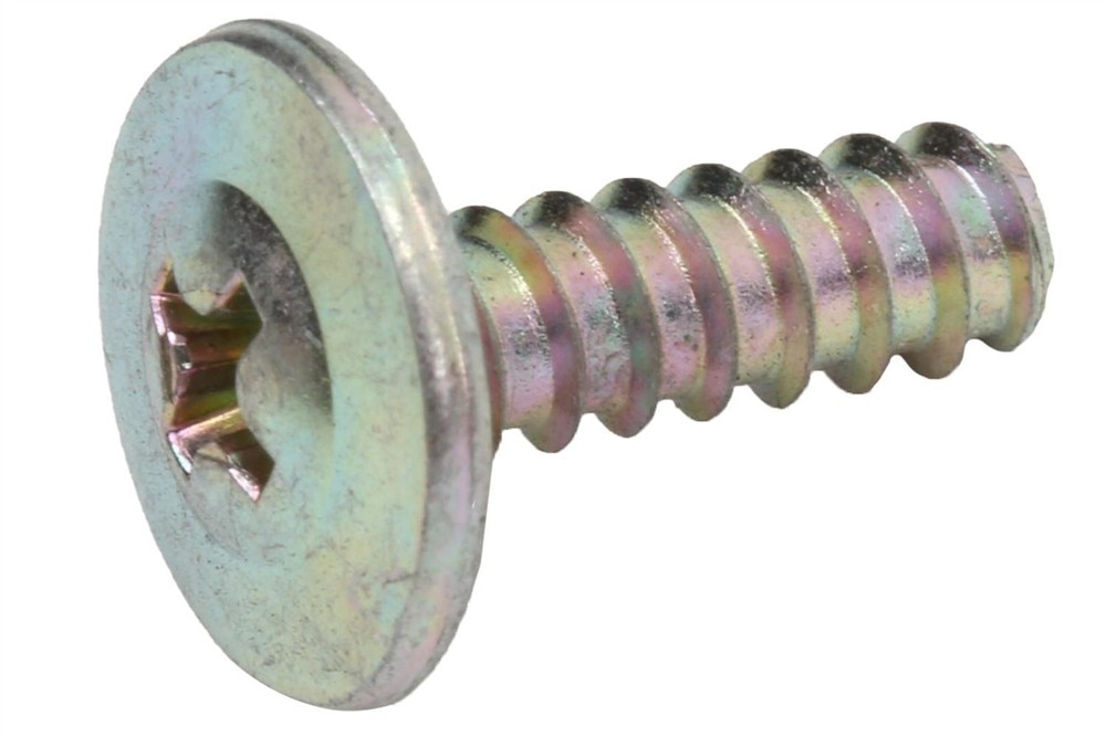 GM Genuine Parts Front Side Door Trim Bolt