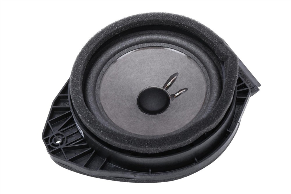 GM Genuine Parts Front Door Radio Speaker