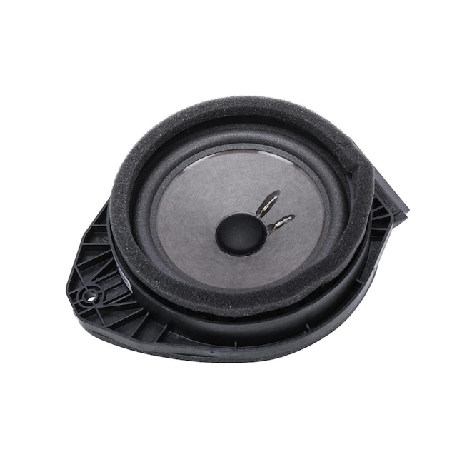 GM Genuine Parts Front Door Radio Speaker