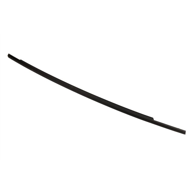 GM Genuine Parts Passenger Side Door Belt Molding