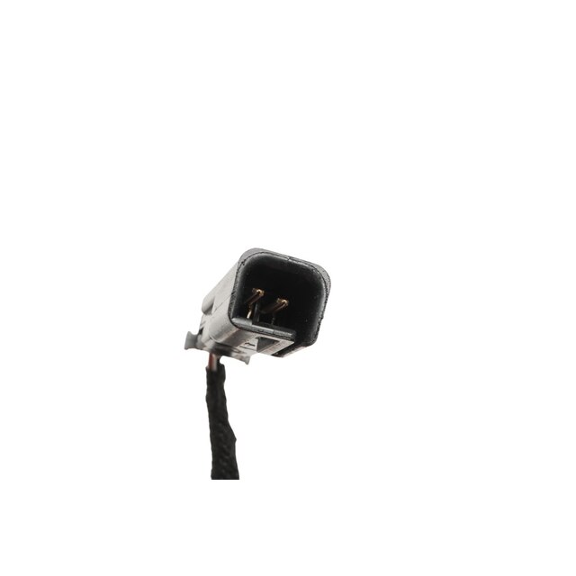 Alternate Image