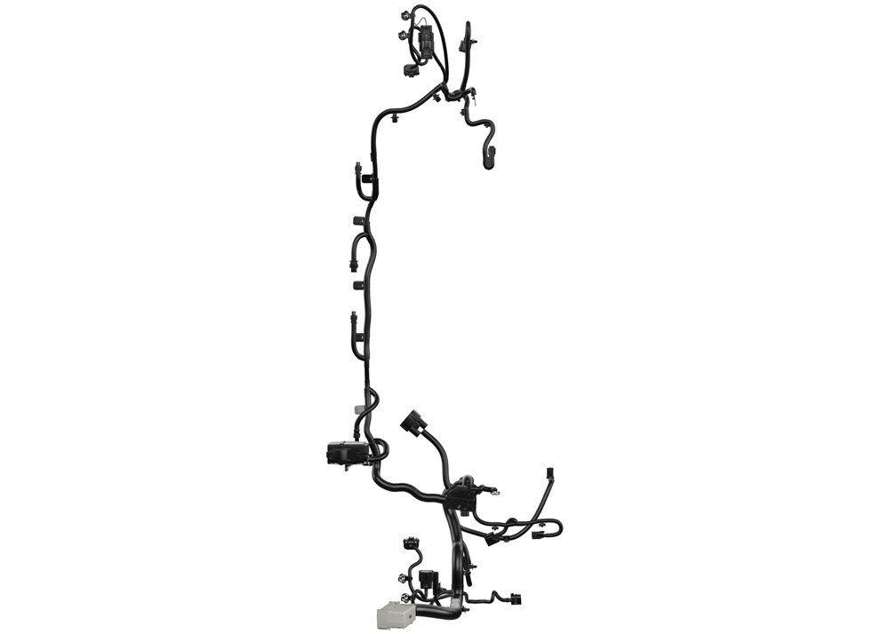Alternate Image