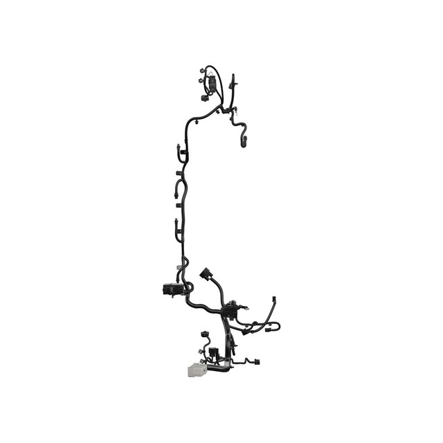 Alternate Image