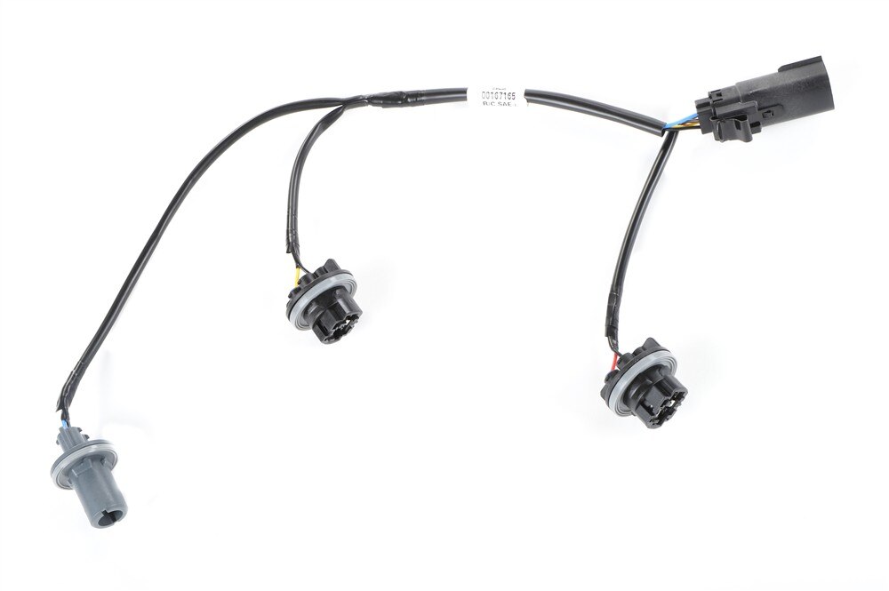GM Genuine Parts Rear Combination Lamp Module