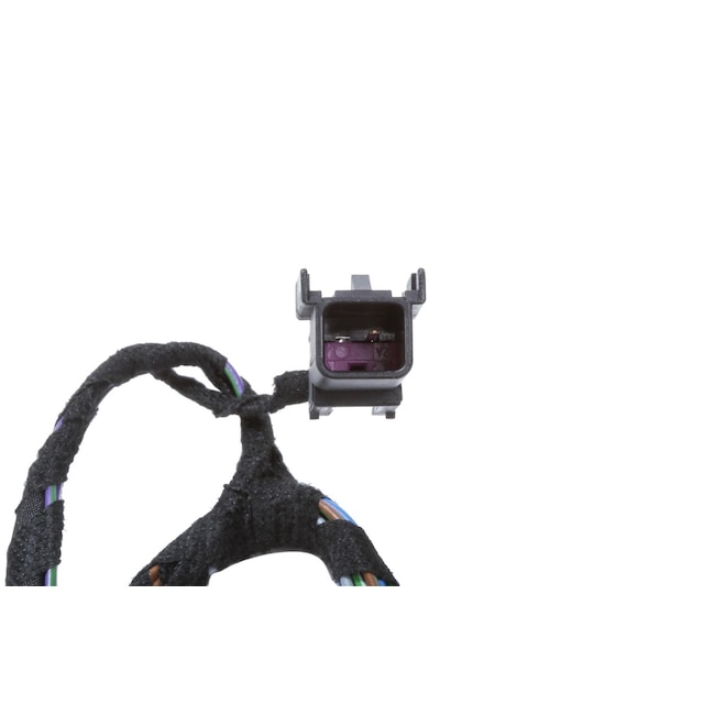 Alternate Image