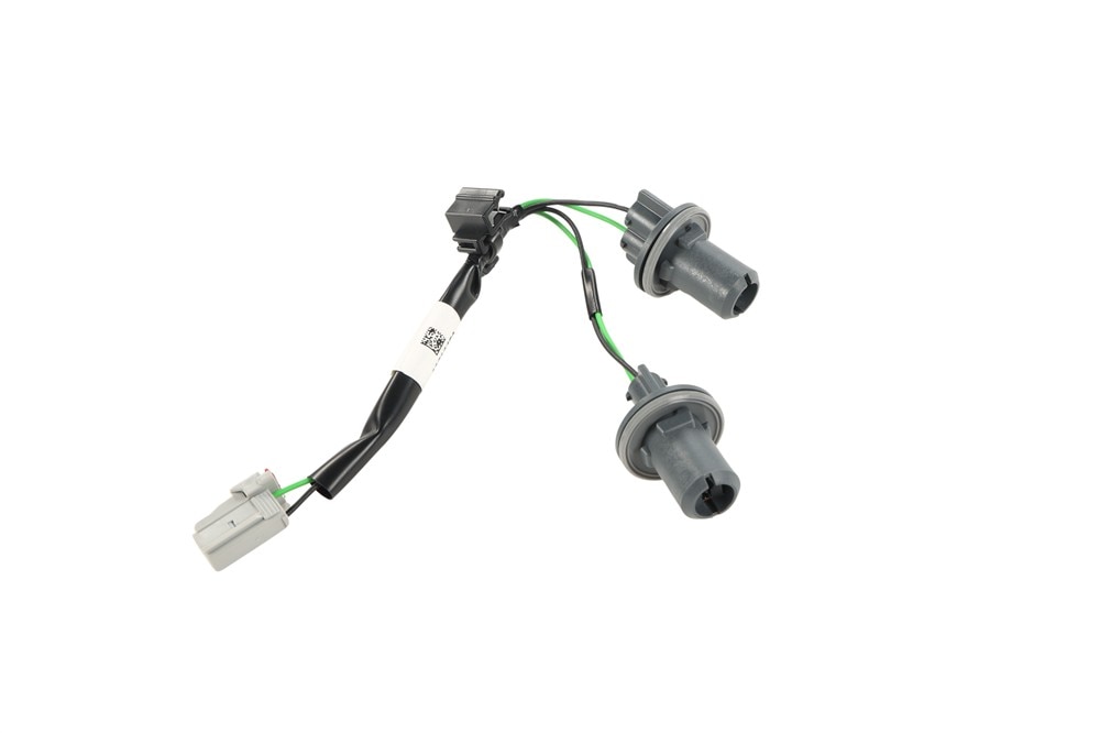 GM Genuine Parts Rear Combination Lamp Module