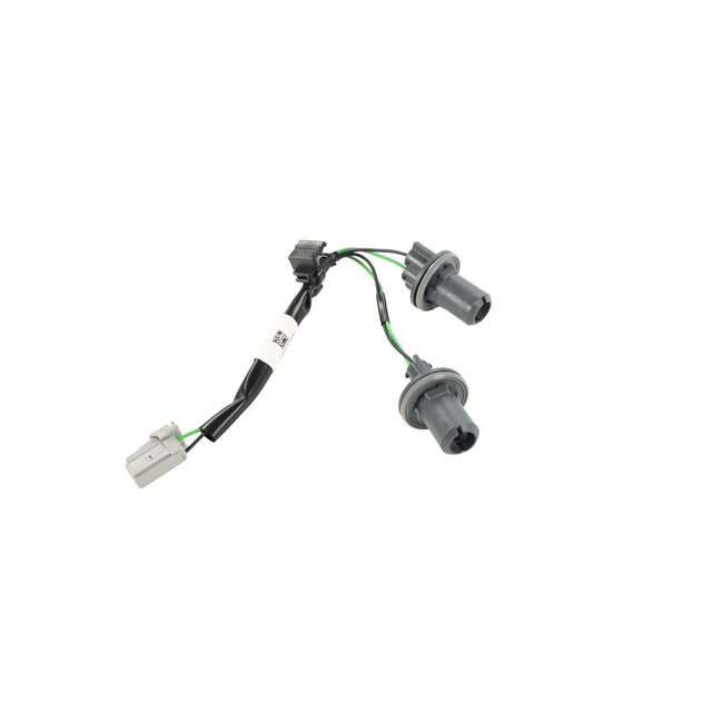 GM Genuine Parts Rear Combination Lamp Module