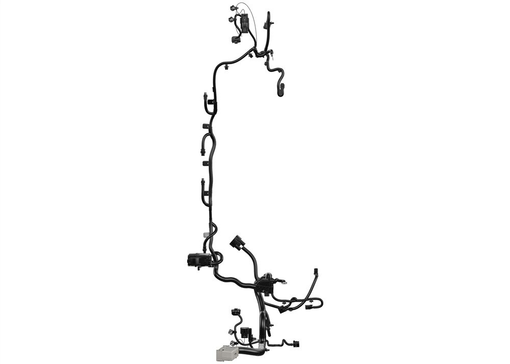 Alternate Image