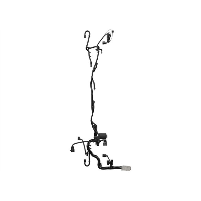Alternate Image