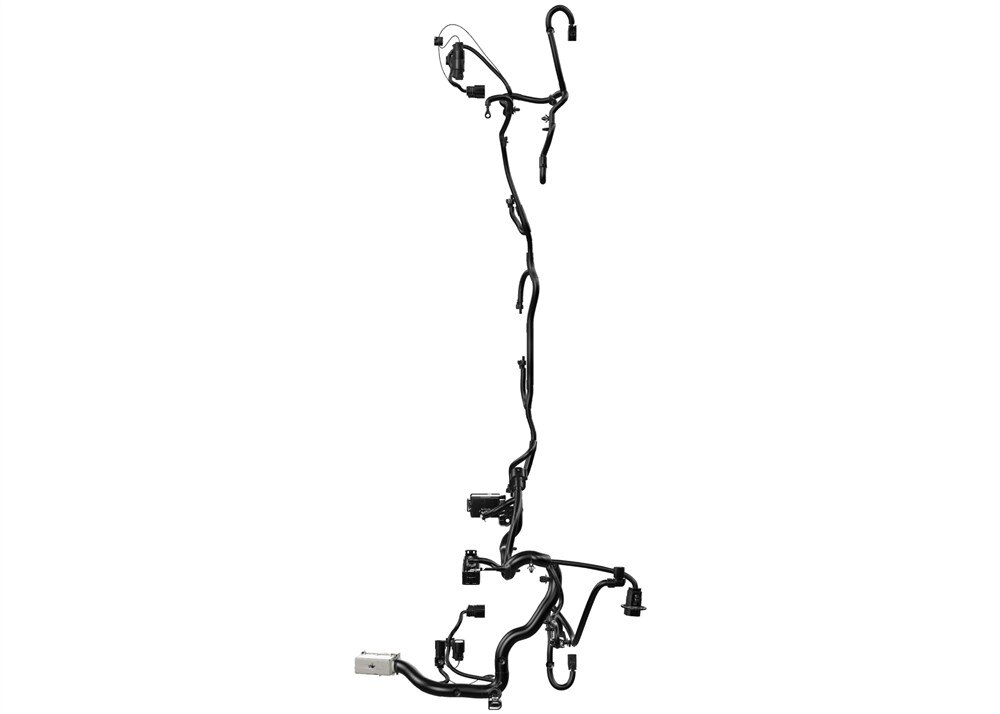 Alternate Image