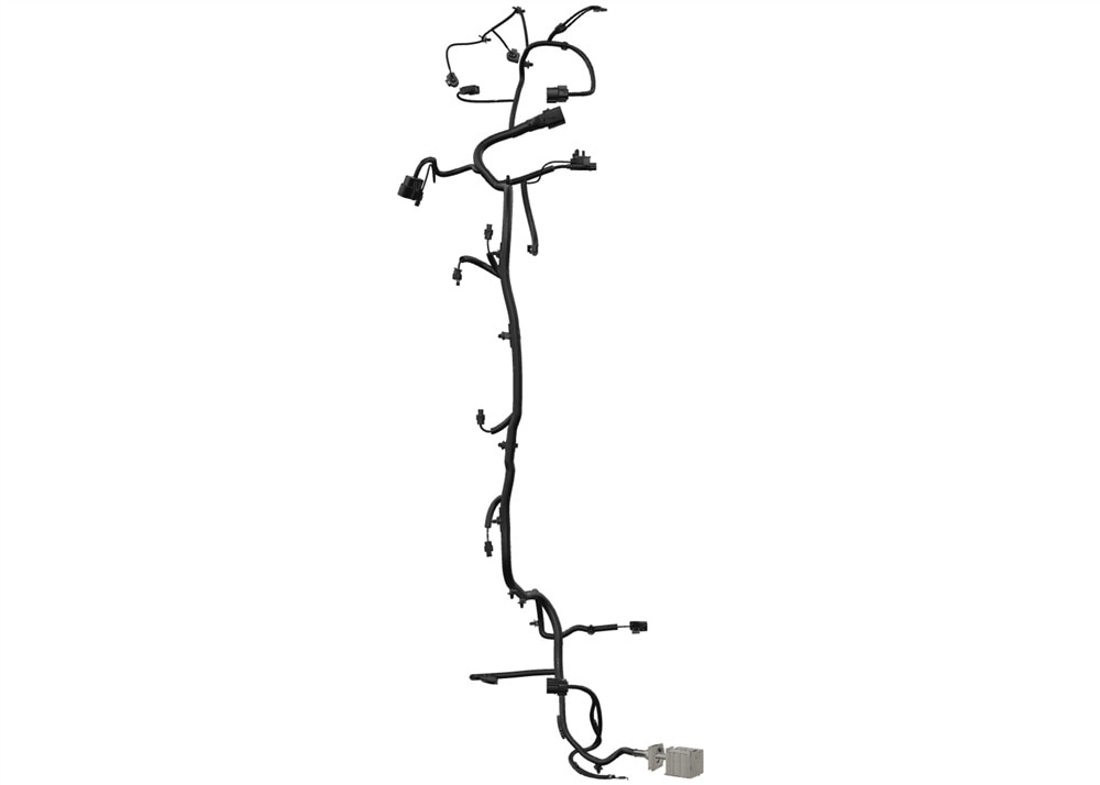 Alternate Image