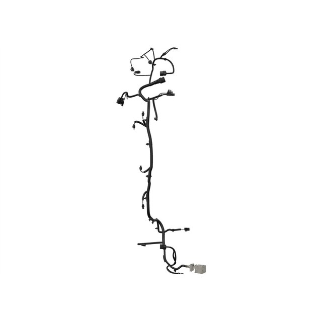 Alternate Image