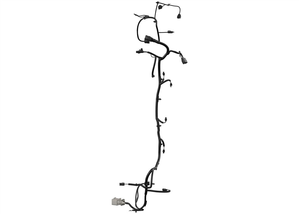 Alternate Image