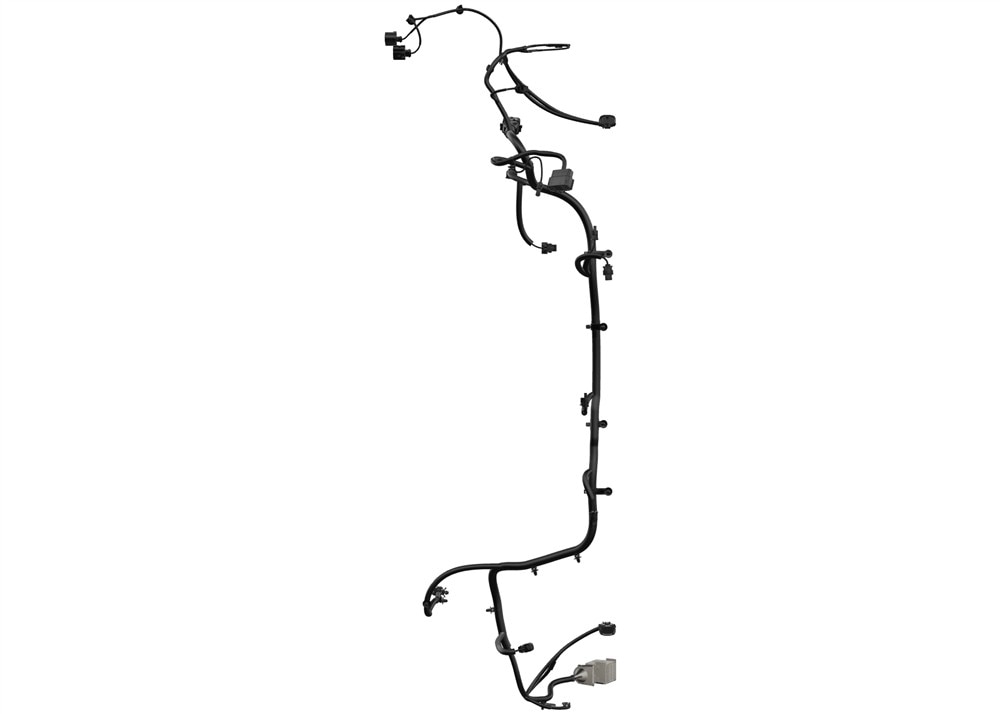 Alternate Image