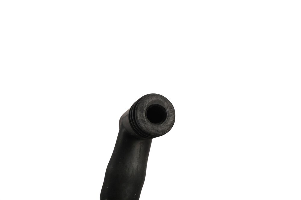 Alternate Image