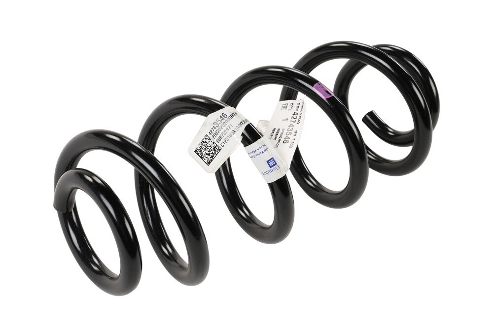 GM Genuine Parts Rear Coil Spring