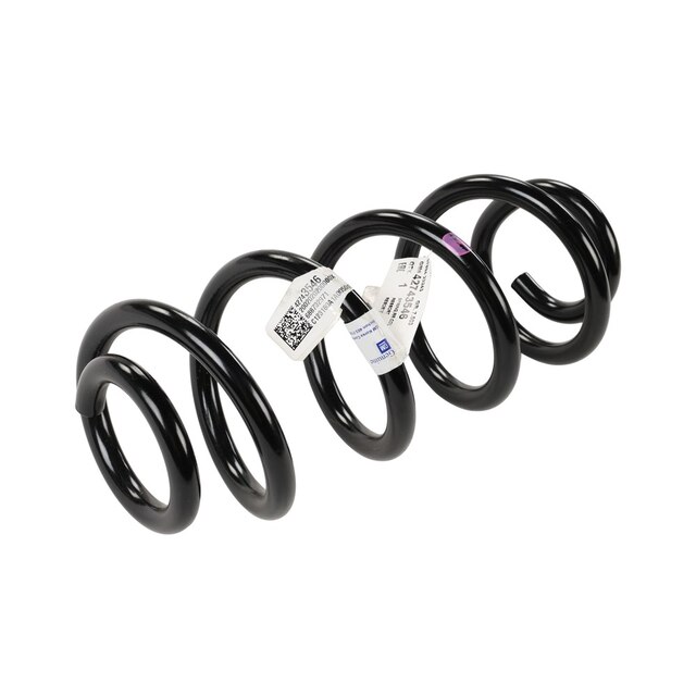 GM Genuine Parts Rear Coil Spring