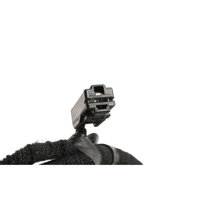 Alternate Image