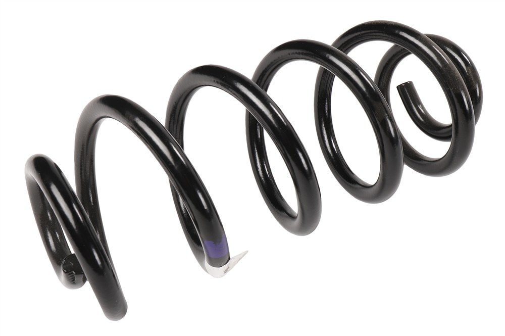 GM Genuine Parts Rear Coil Spring