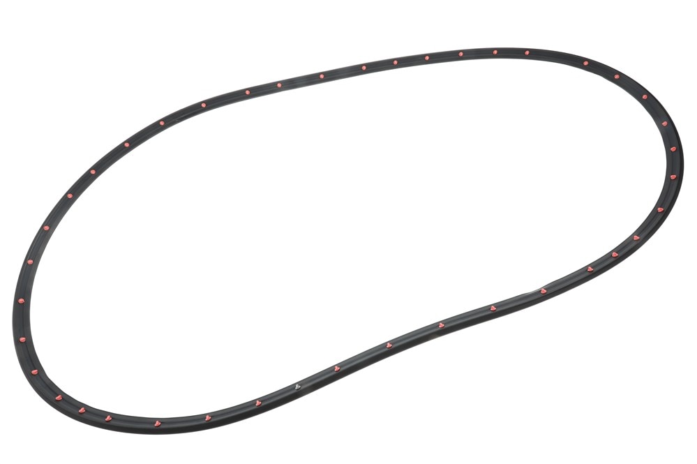 GM Genuine Parts Rear Driver Side Door Weatherstrip