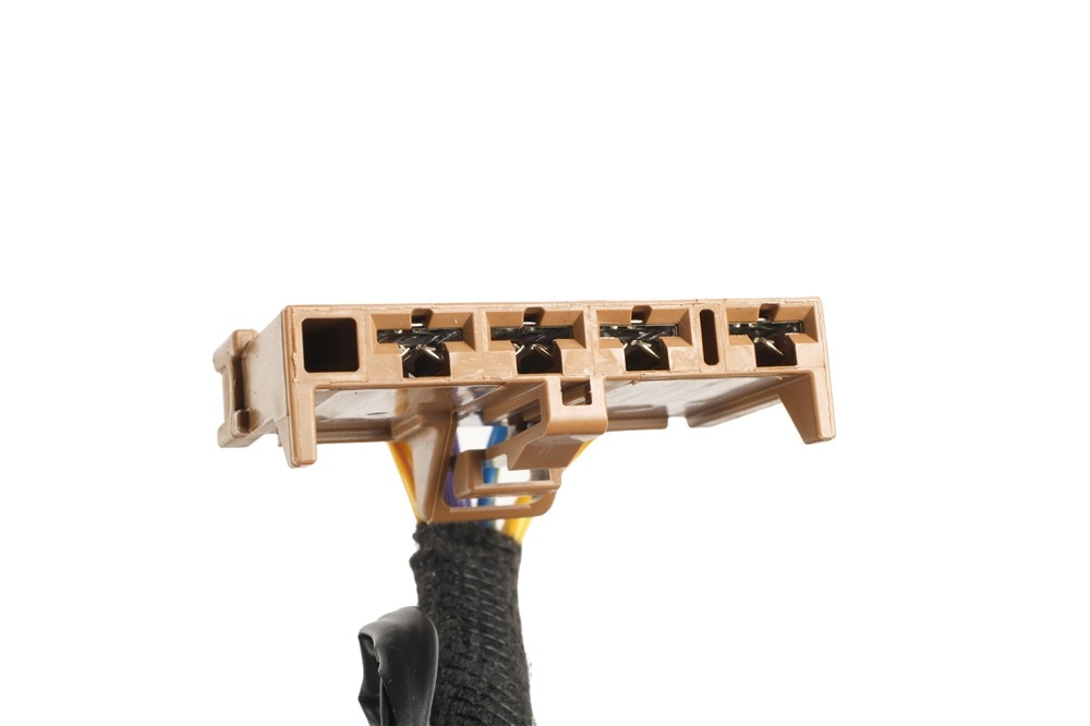 Alternate Image
