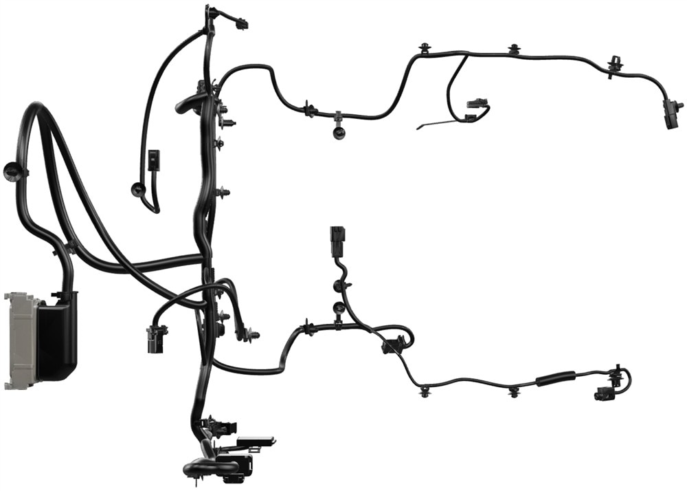 Alternate Image
