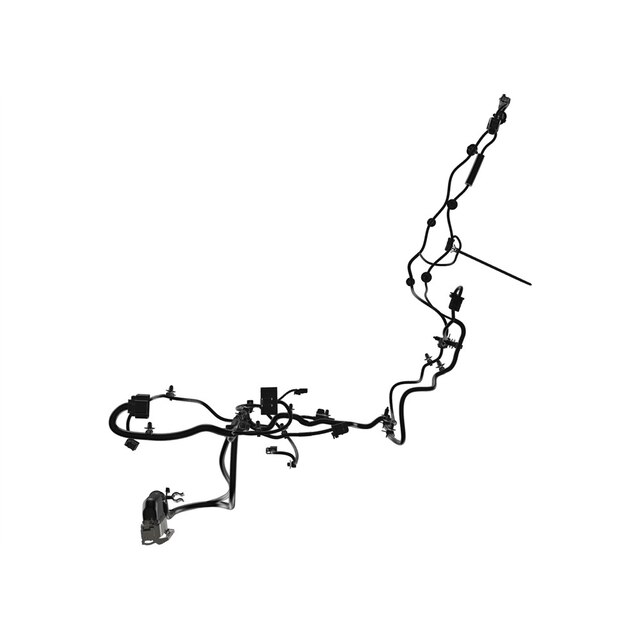 Alternate Image