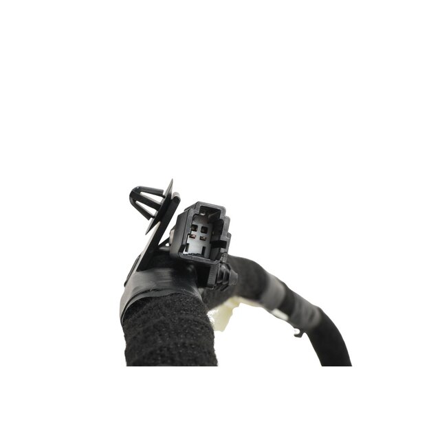 Alternate Image