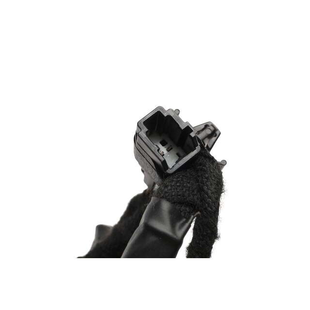 Alternate Image