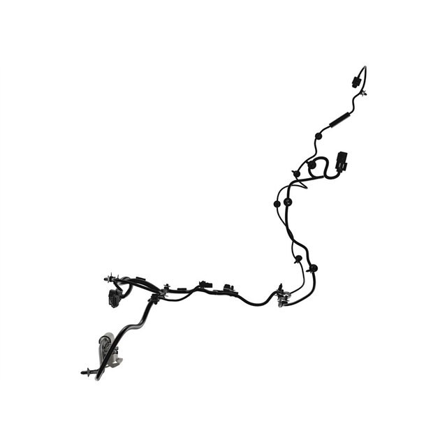 Alternate Image