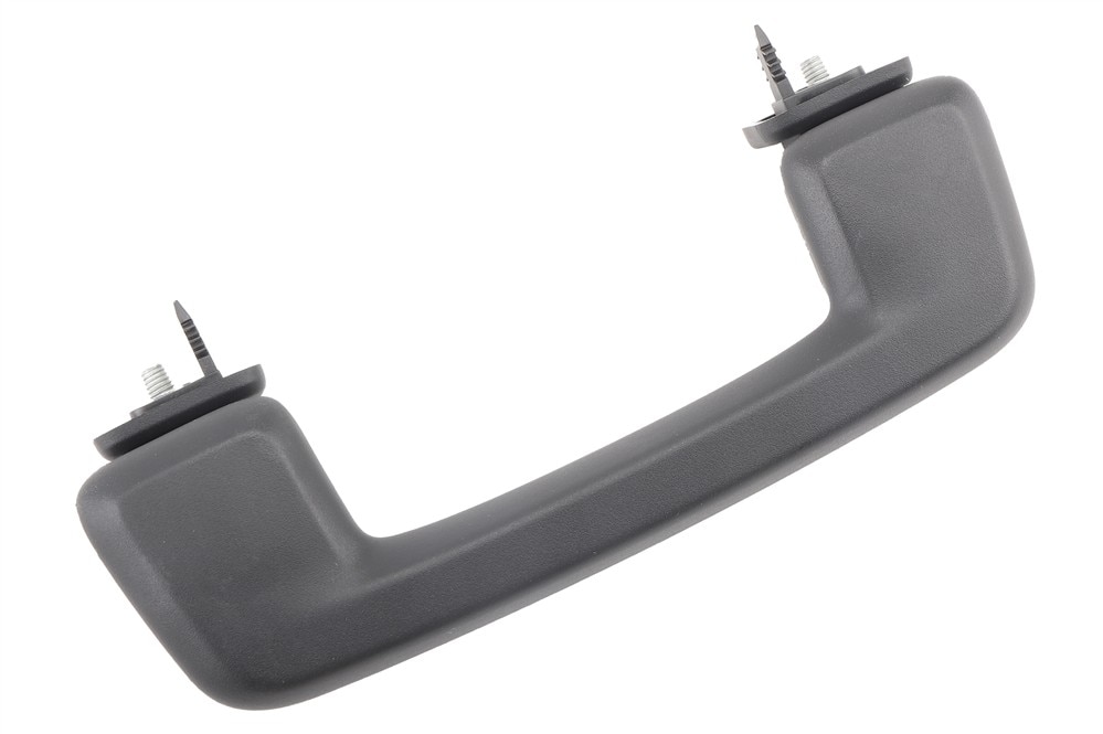 GM Genuine Parts Backen Black Roof Rail Rear Assist Handle