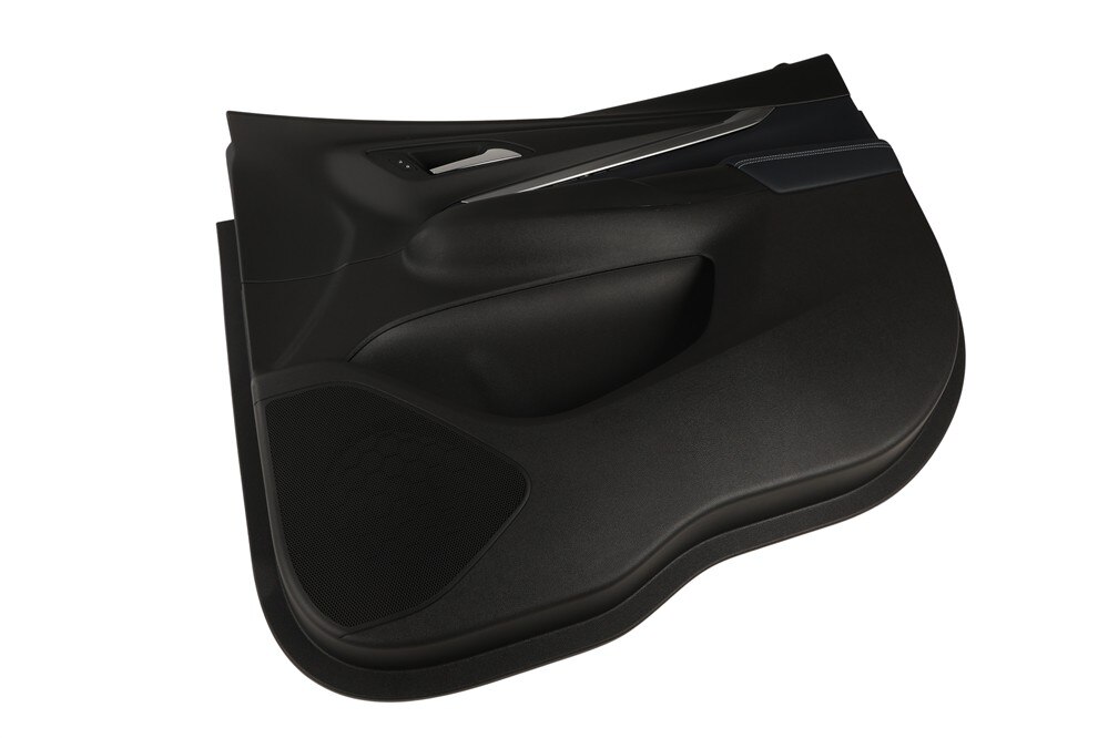 GM Genuine Parts Black Front Passenger Side Door Trim