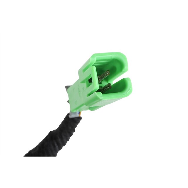 Alternate Image