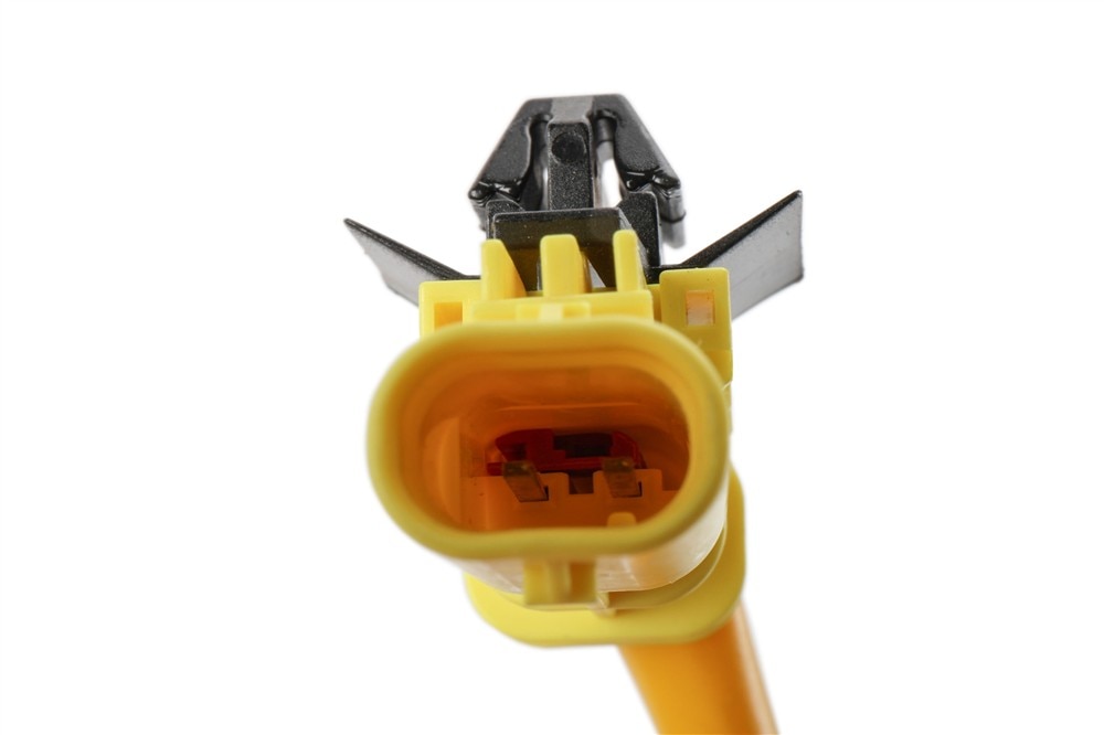 Alternate Image
