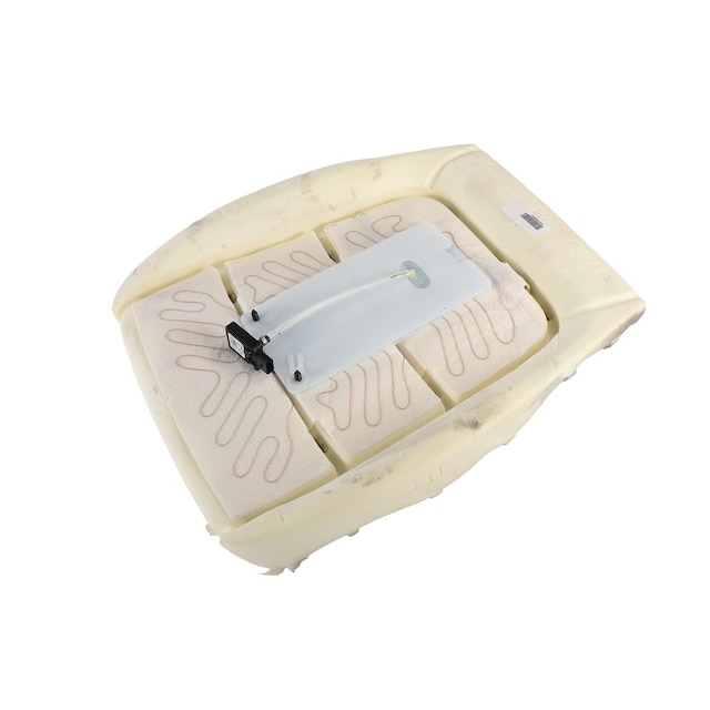 GM Genuine Parts Passenger Side Airbag Front Passenger Presence Module