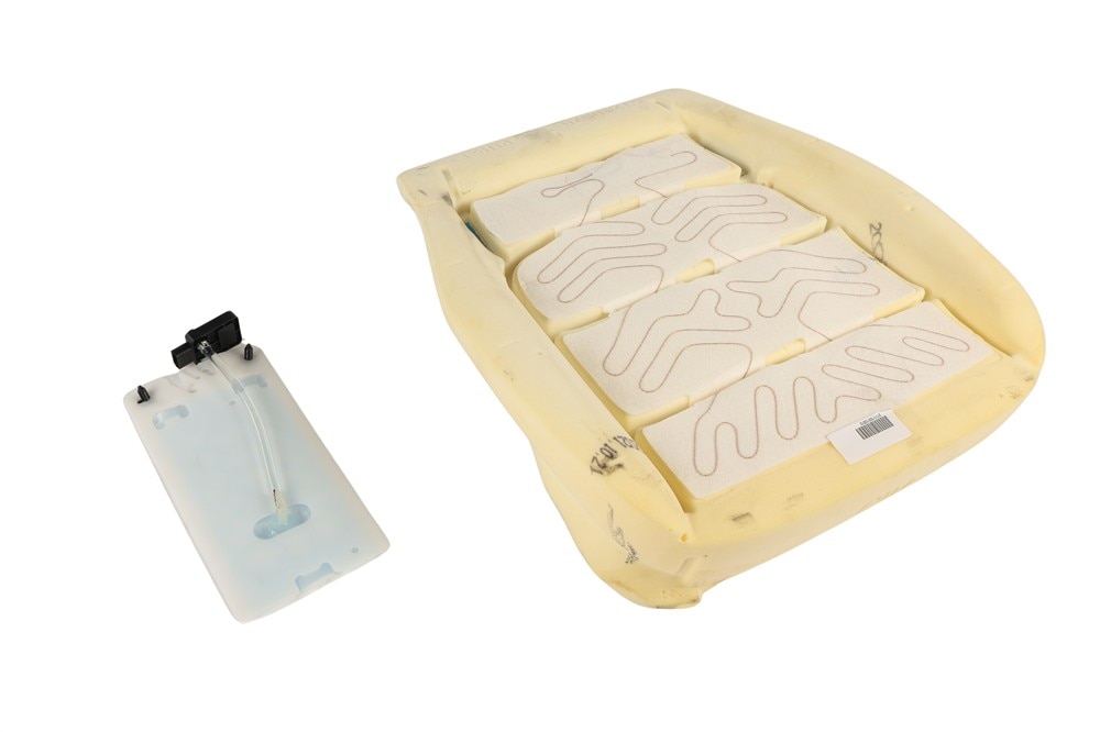 GM Genuine Parts Airbag Front Passenger Side Passenger Presence Module Kit with Sensor