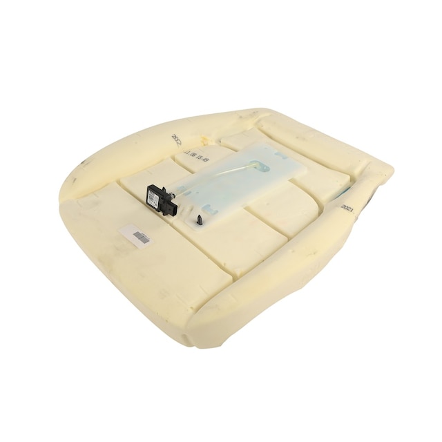 GM Genuine Parts Airbag Front Passenger Side Passenger Presence Module Kit with Sensor
