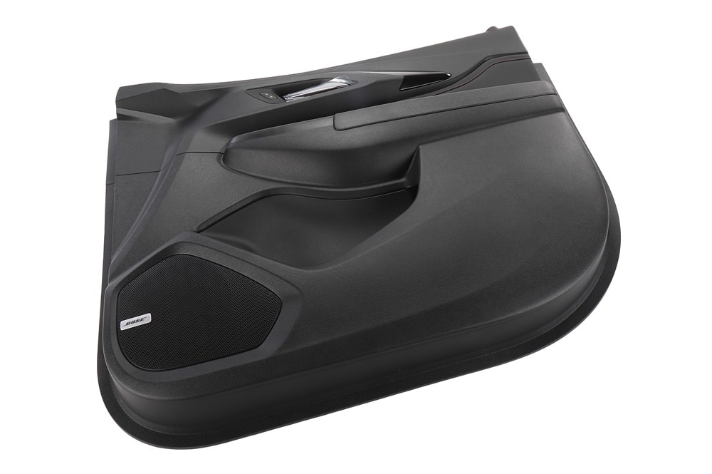 GM Genuine Parts Black Front Passenger Side Door Trim