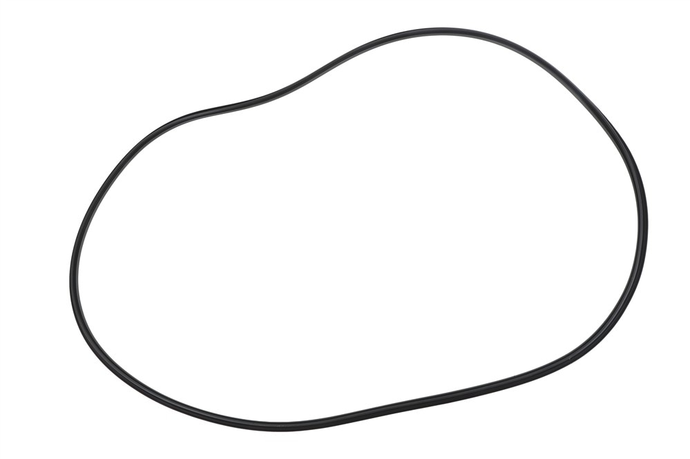 GM Genuine Parts Sunroof Seal