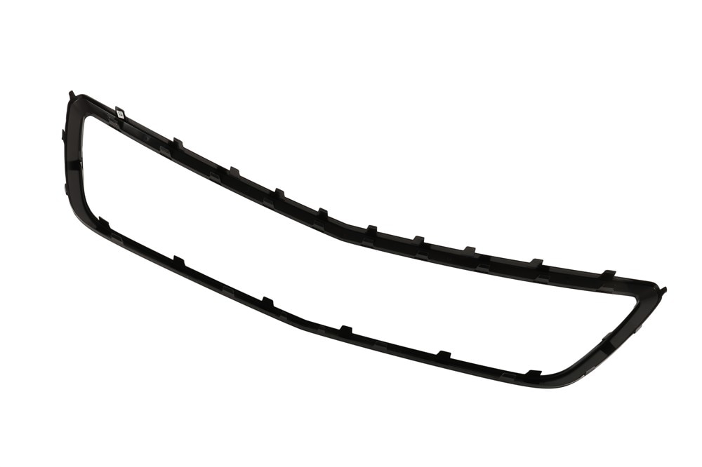 Alternate Image