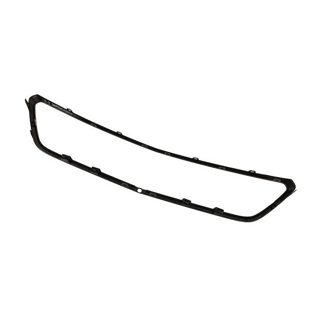 Alternate Image