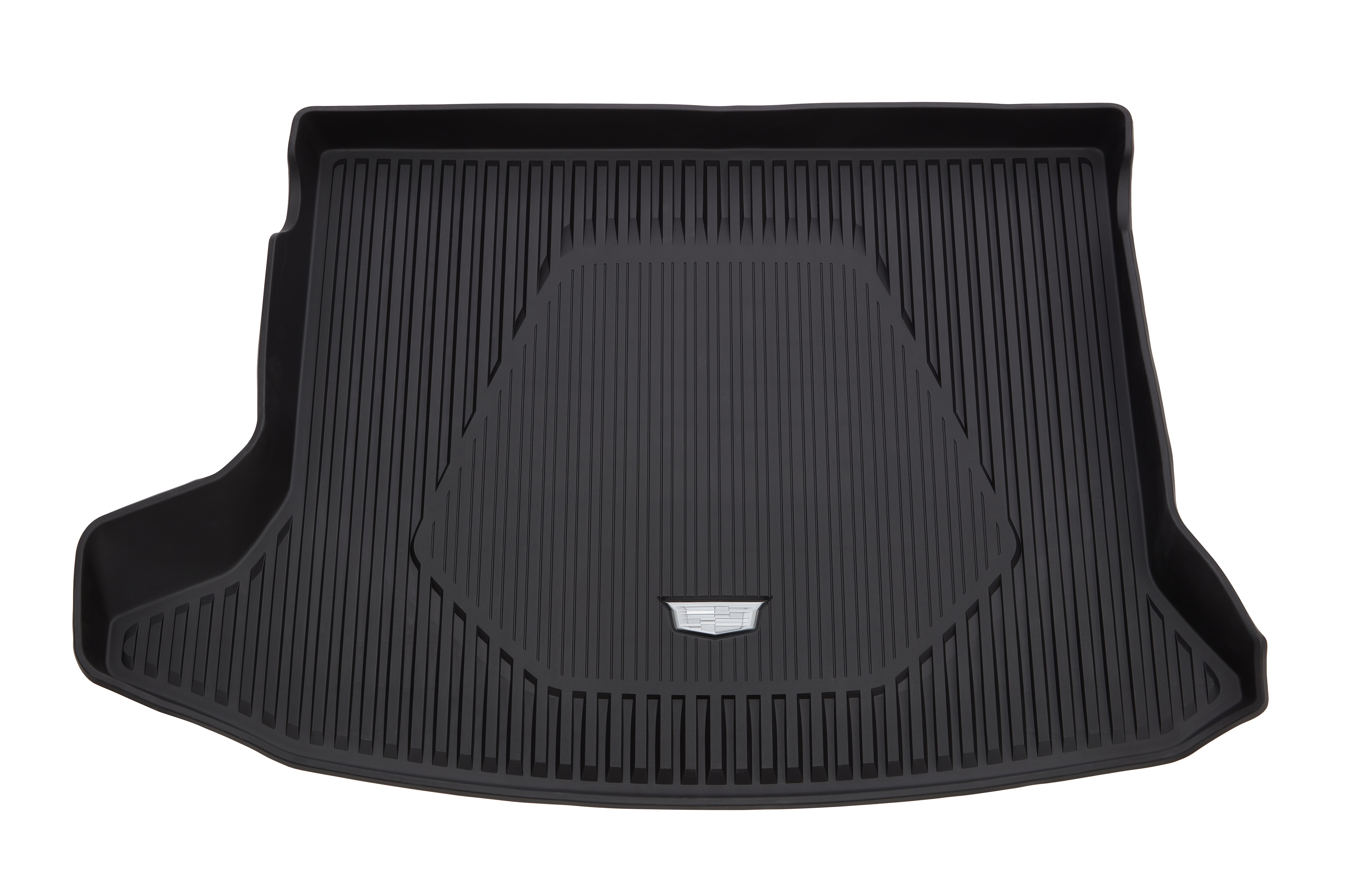 On-Vehicle Image