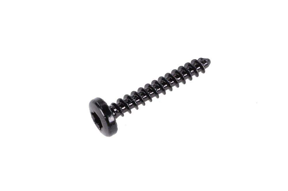 GM Genuine Parts Door Mirror Opening Applique Bolt