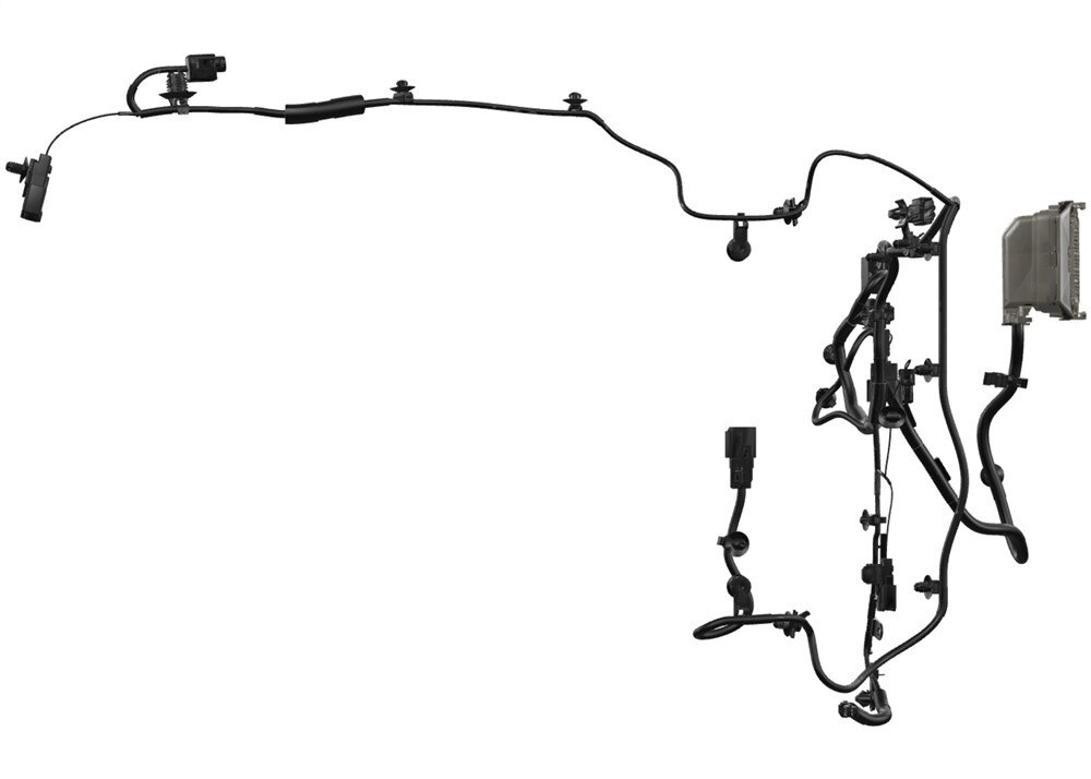 Alternate Image