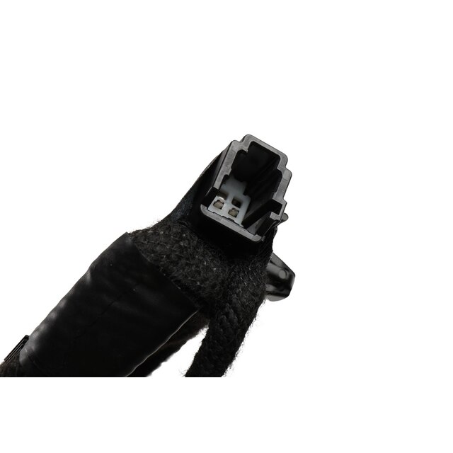 Alternate Image