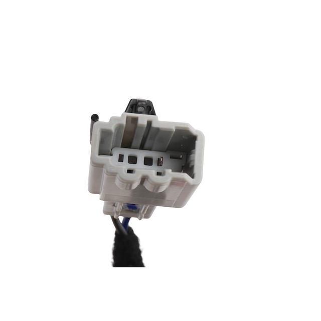 Alternate Image