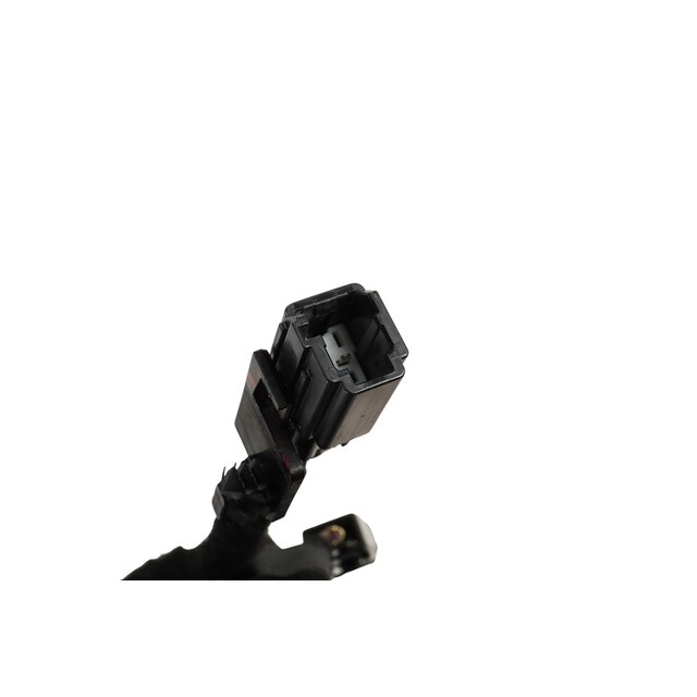 Alternate Image