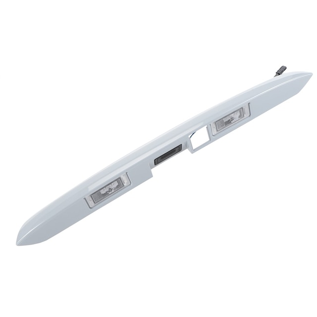 GM Genuine Parts Rear Closure Center With License Plate Lamp Applique