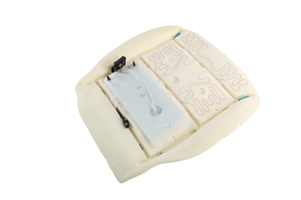 GM Genuine Parts Passenger Side Airbag Front Passenger Presence Module