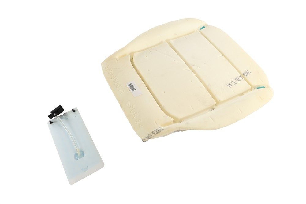 GM Genuine Parts Passenger Side Airbag Front Passenger Presence Module